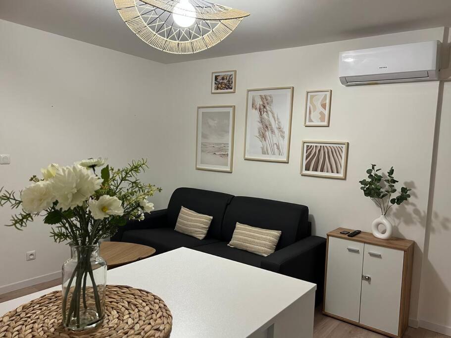 *La Pampa, Studio, Parking, Clim, Hopitaux/Fac* มงต์เปอลิเยร์ ภายนอก รูปภาพ